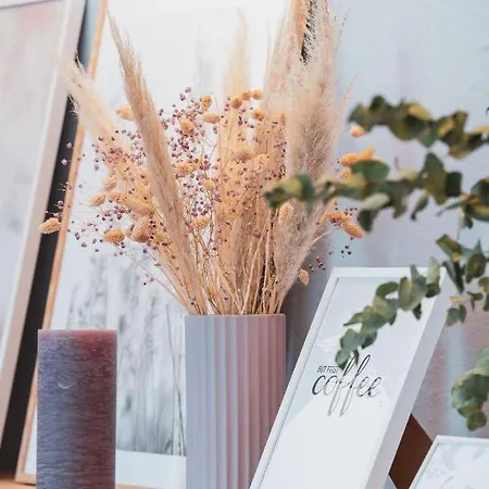 La Belle Vue Boutique & Cafe فندق