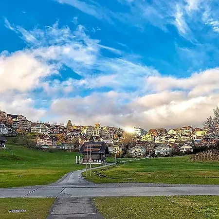 Ξενοδοχείο La Belle Vue Boutique & Cafe Spiez