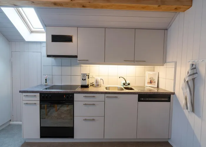 La Belle Vue Boutique & Cafe 3* Spiez