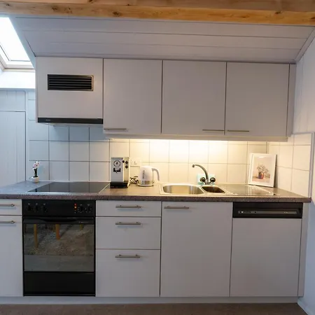 La Belle Vue Boutique & Cafe 3* Spiez